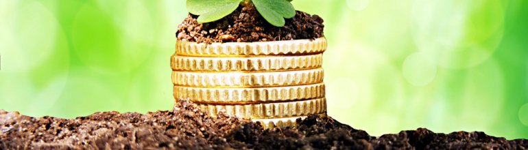 Opłata środowiskowa