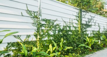 Kto zapłaci podatek od ogrodzenia?